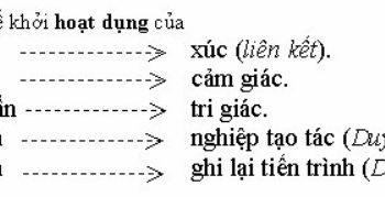 Tâm là gì?