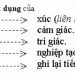 Tâm là gì?