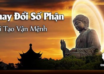 Số Mệnh theo Nhân Quả