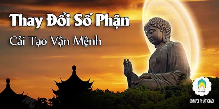 Số Mệnh theo Nhân Quả