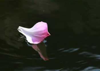 LO NGHĨ THÌ ĐƯỢC GÌ?