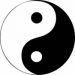 Tính lý Âm Dương Ngũ hành của sao Tử vi