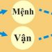 TỨ TRỤ BÁT TỰ NHẬP MÔN – Phần 1