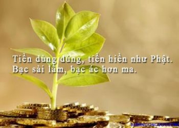 CÓ THỂ CẢI SỐ ĐƯỢC KHÔNG?