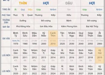 PHÂN TÍCH MỆNH LÝ TỨ TRỤ – P2