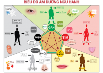Tứ Trụ xem Bệnh Tật – Phần 1