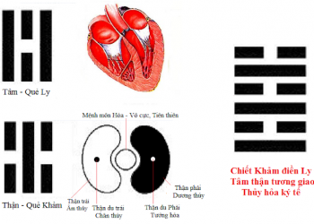 Tâm Thận tượng giao – Thủy Hỏa Ký Tế