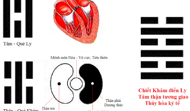 Tâm Thận tượng giao – Thủy Hỏa Ký Tế