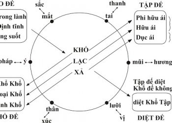 HIỆN THỰC CUỘC ĐỜI
