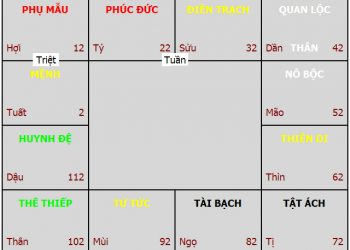 Nên luận về Tuần Triệt thế nào cho đúng?