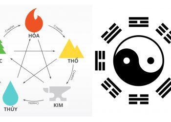 Luận về sao Thiên Đồng