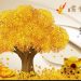 Kinh nghiệm cho người mệnh Vô Chính Diệu
