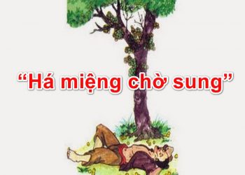 Há miệng chờ sung