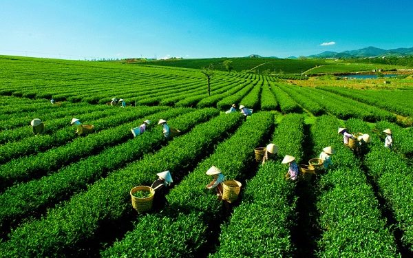 Tu, học Đạo không phải là trốn tránh, lười biếng.