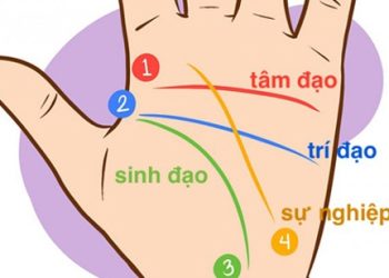 Chỉ tay thay đổi
