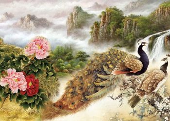 Luận vận hạn Tử Vi năm 2023 theo Tứ hóa