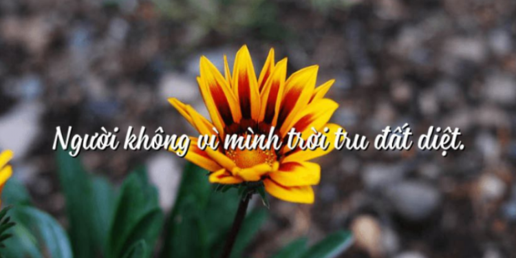 Người không vì mình trời tru đất diệt