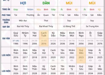 Bát tự Tài quá vượng nên chết yểu