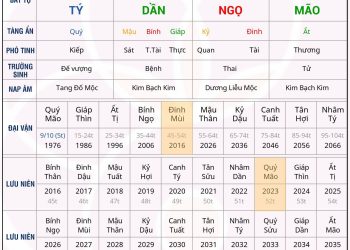 Bát Tự giàu có mà cuối đời sống thực vật