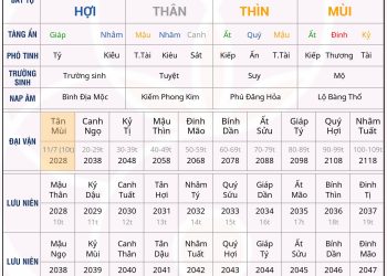 Tứ trụ của bạn nhỏ