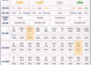 Luận mệnh Bát Tự cho bạn 1994