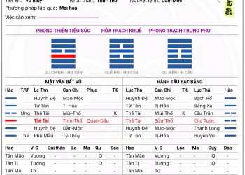 Lập quẻ mệnh chung thân cho khách